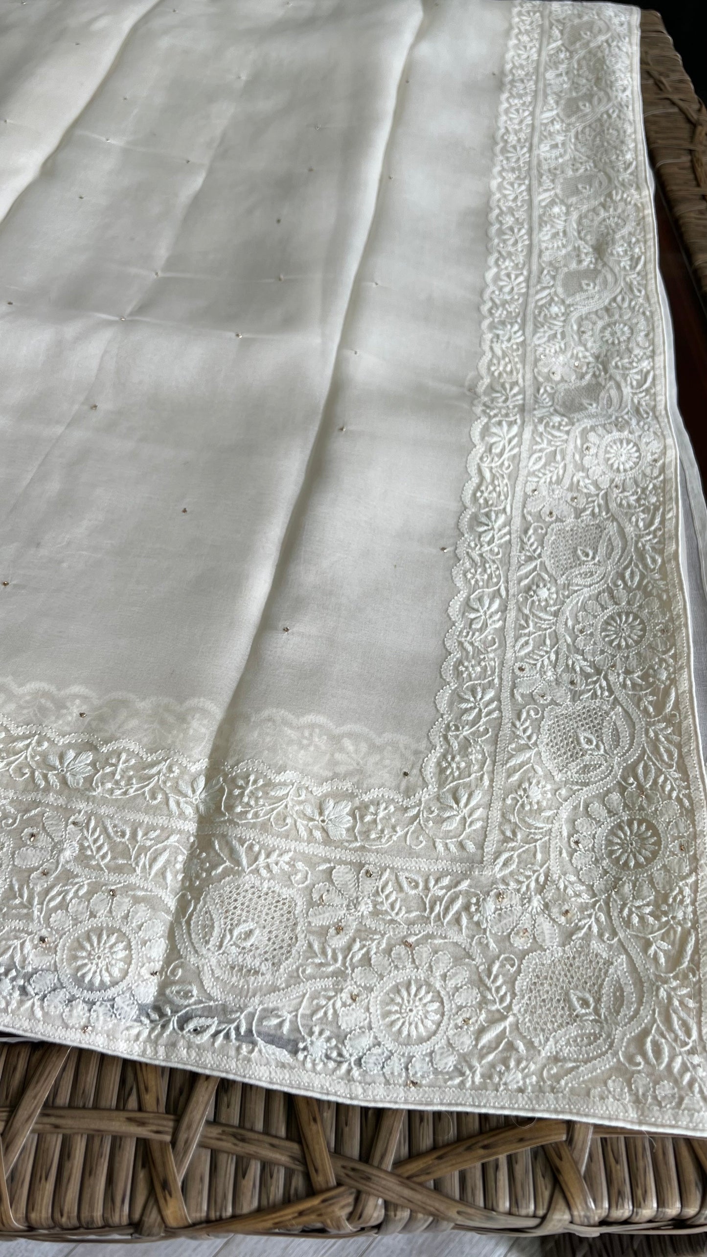 Organza Chikankari Border Saree