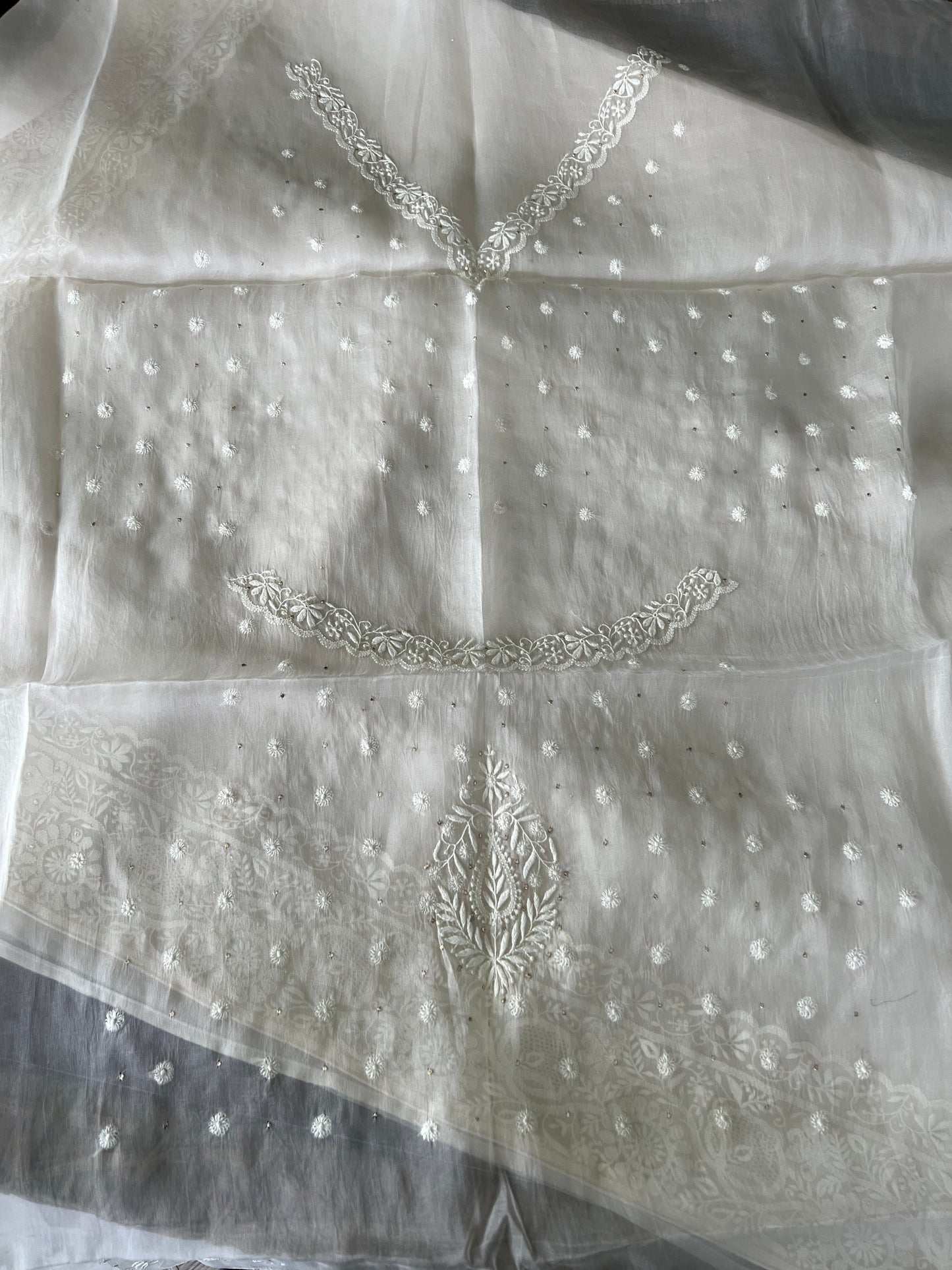 Organza Chikankari Border Saree