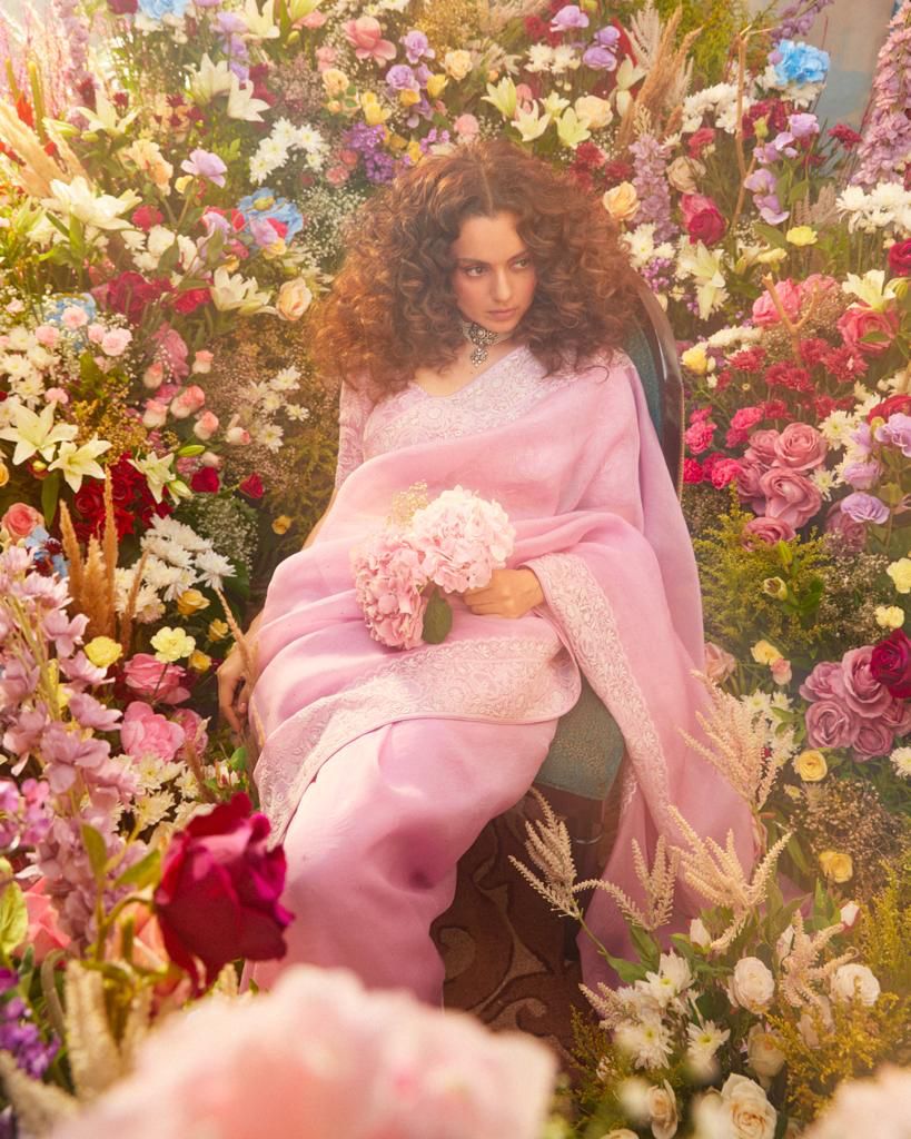 Organza Chikankari Border Saree