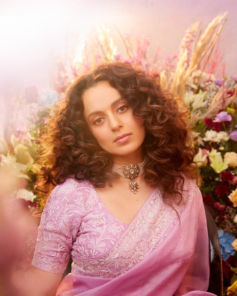 Organza Chikankari Border Saree