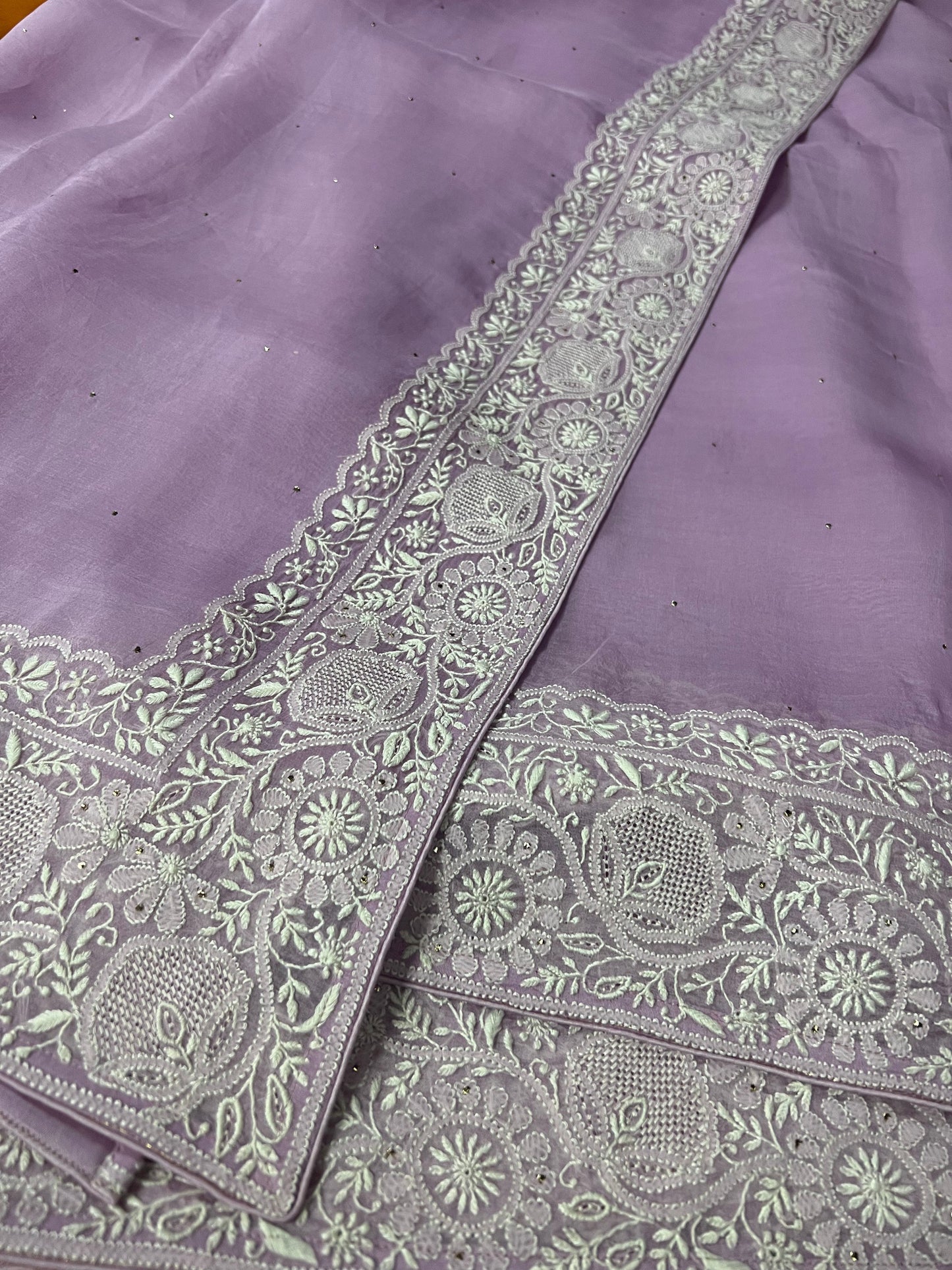 Organza Chikankari Border Saree