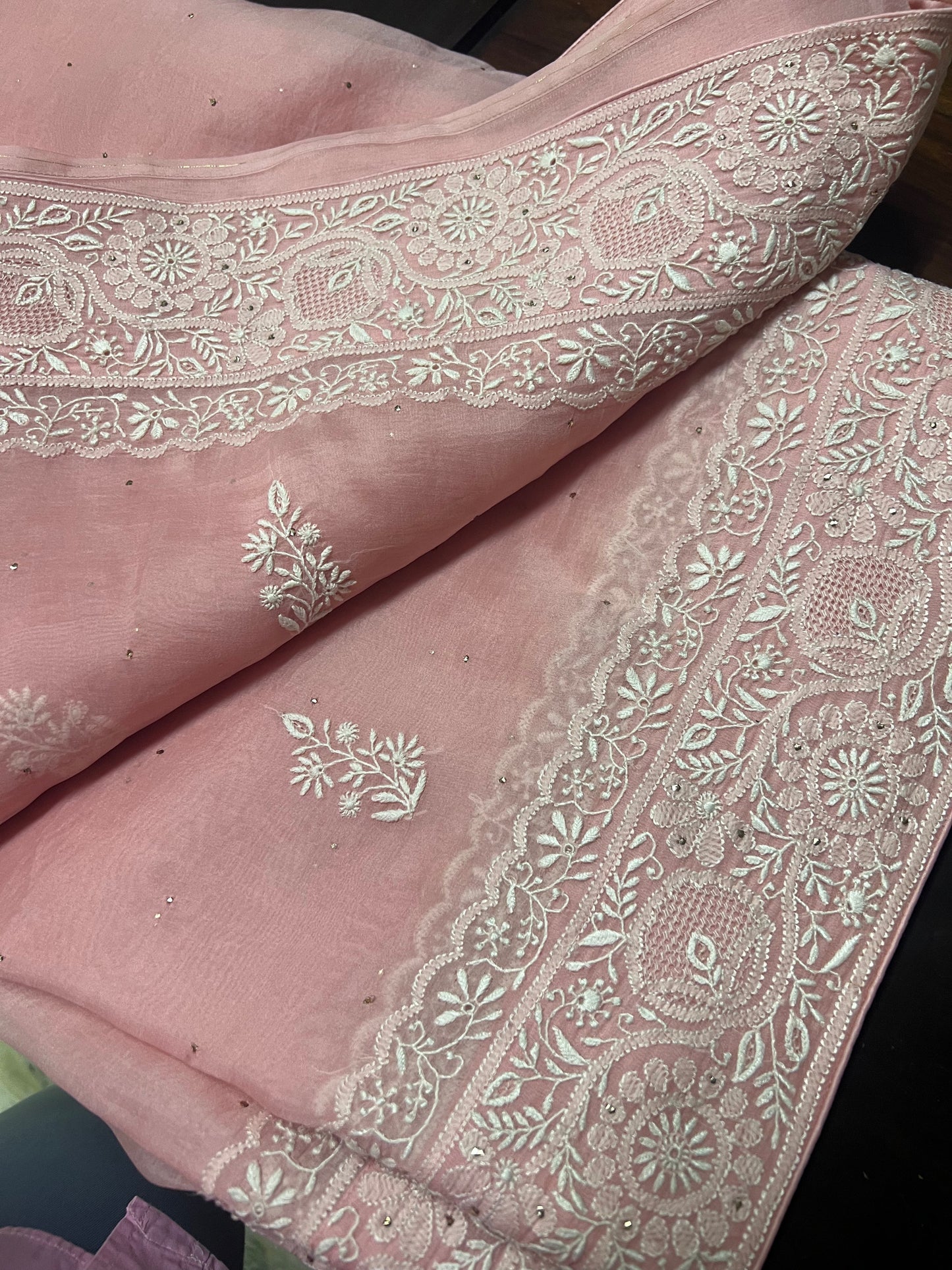 Organza Chikankari Border Saree