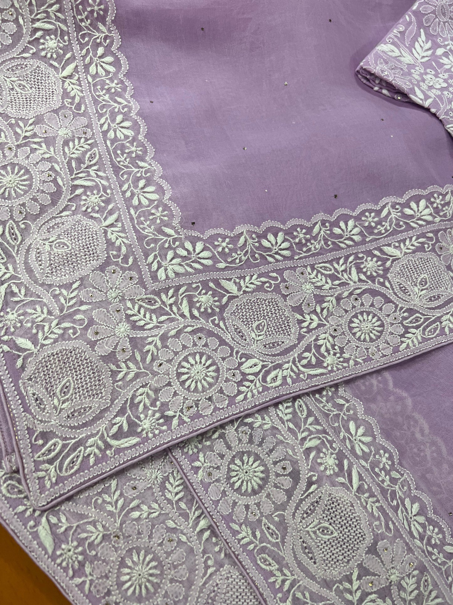 Organza Chikankari Border Saree
