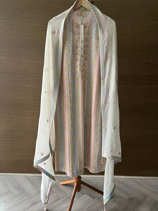 Multi colour threads Chikankari Jaal Kurta and Dupatta Set