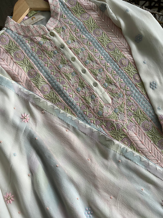 Multi colour threads Chikankari Jaal Kurta and Dupatta Set