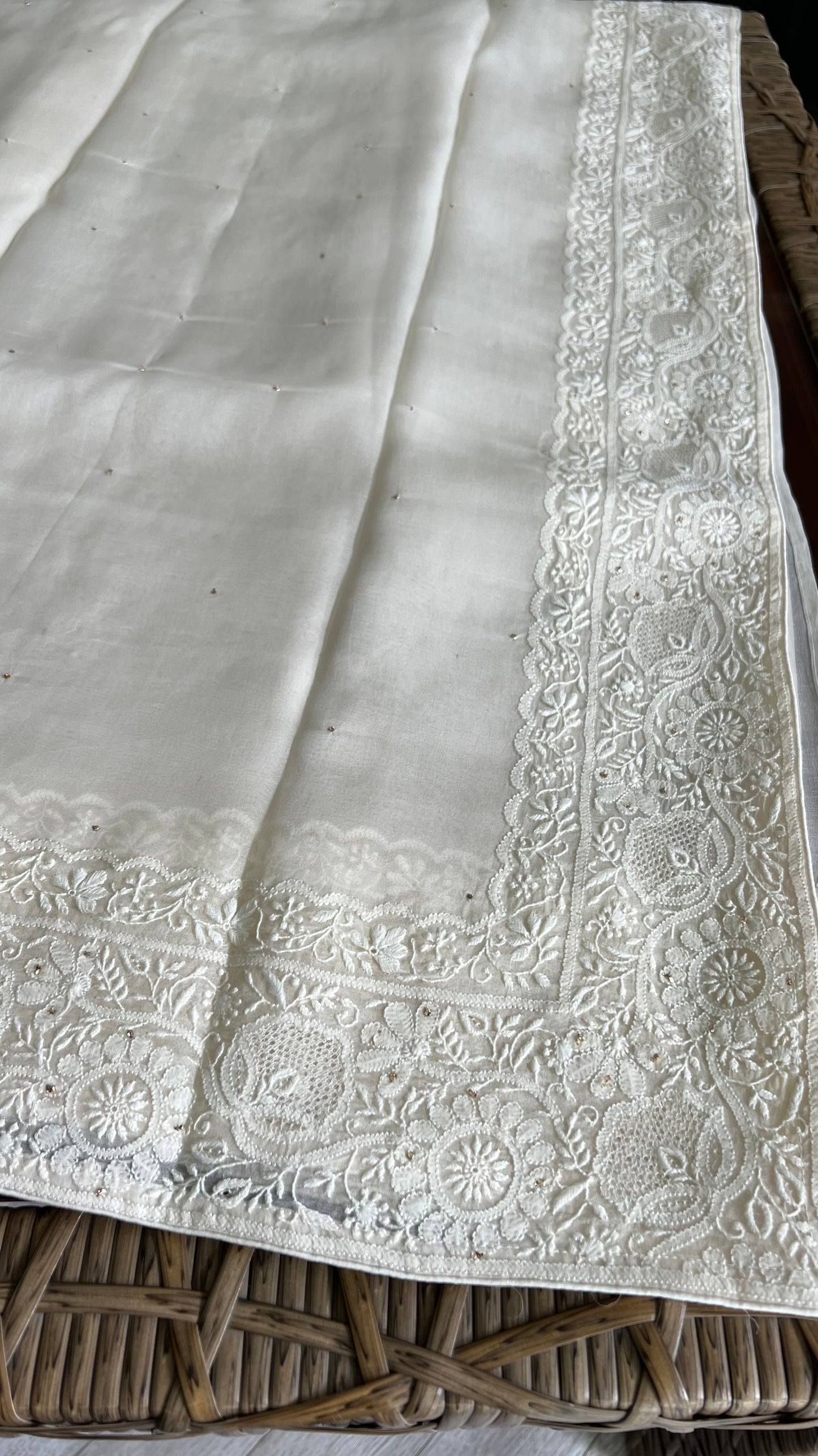 Organza Chikankari Border Saree