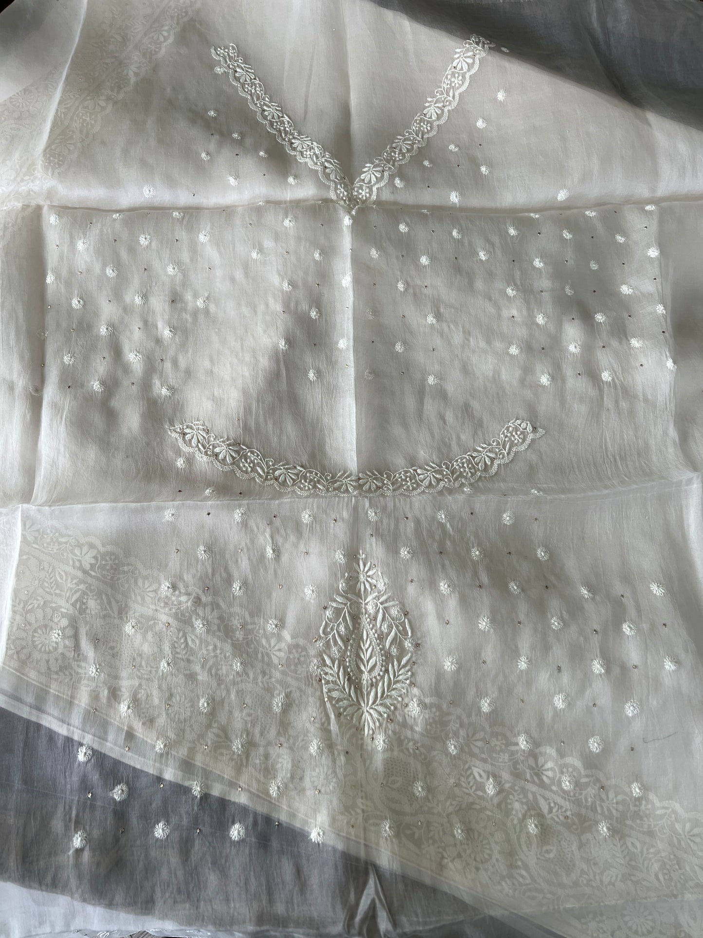 Organza Chikankari Border Saree
