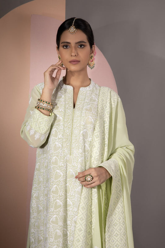 Green Chikankari Jaal Kurta and Dupatta Set