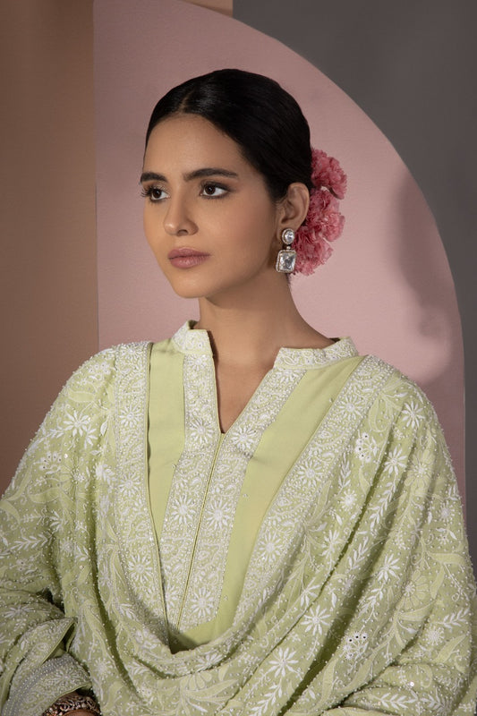 Green Chikankari Jaal Dupatta and Kurta Set