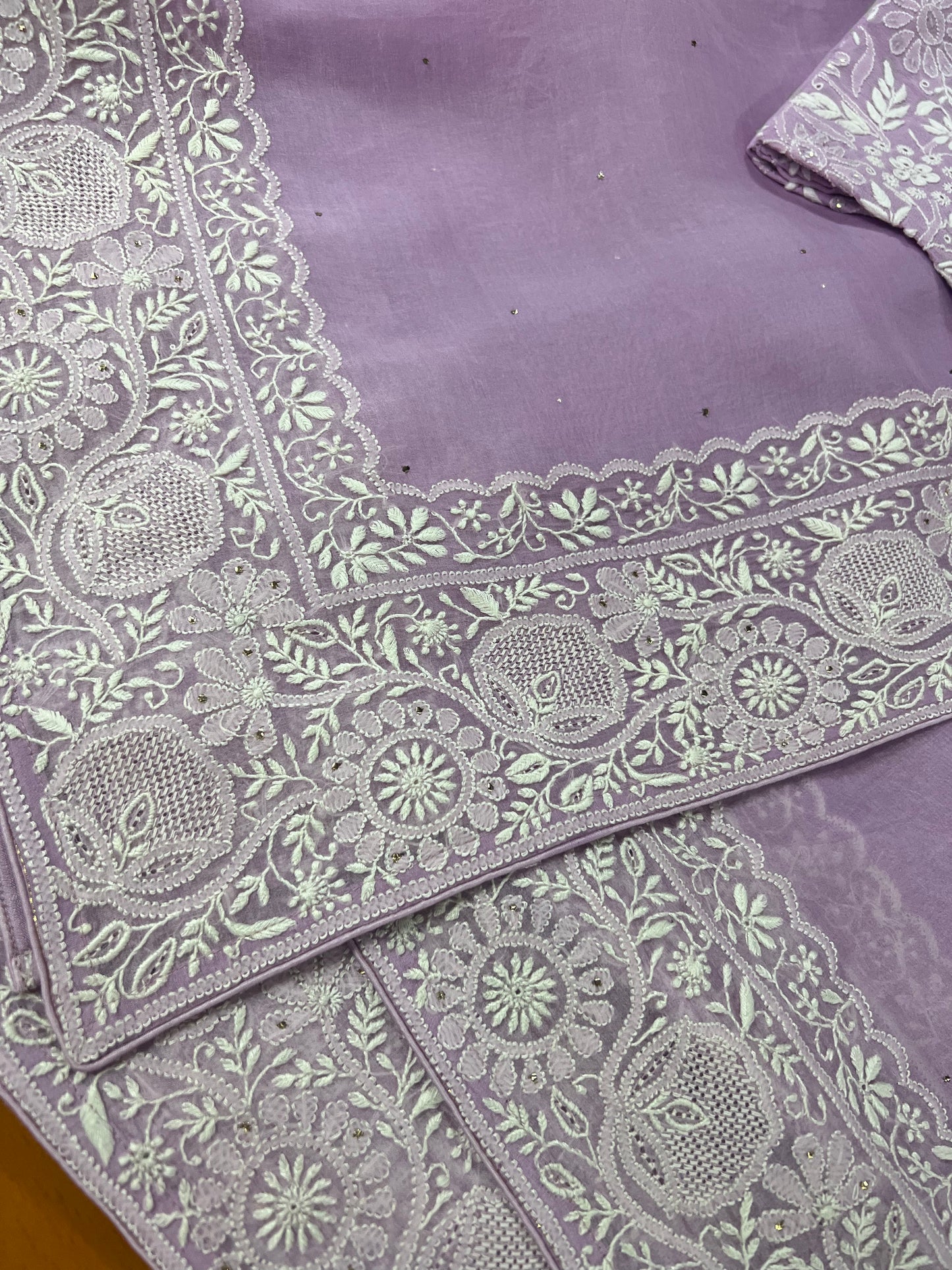 Organza Chikankari Border Saree