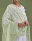 Green Kota Doria Chikankari Dupatta